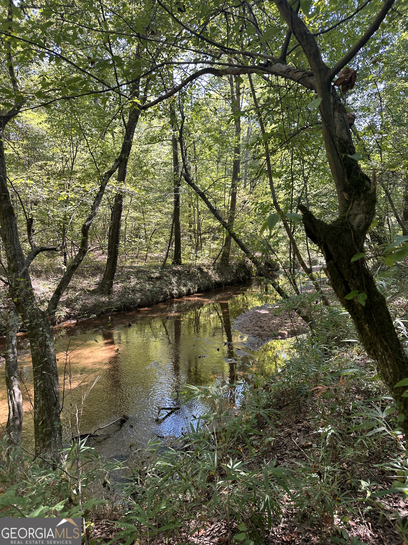 46 Creek Ridge Winterville GA 30683