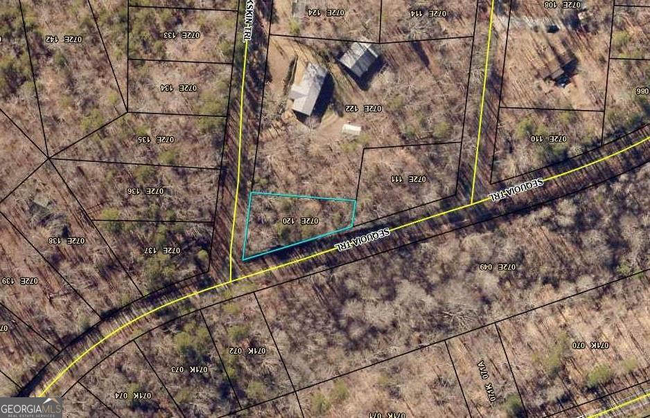 18 S Buckskin Trail Martin GA 30557