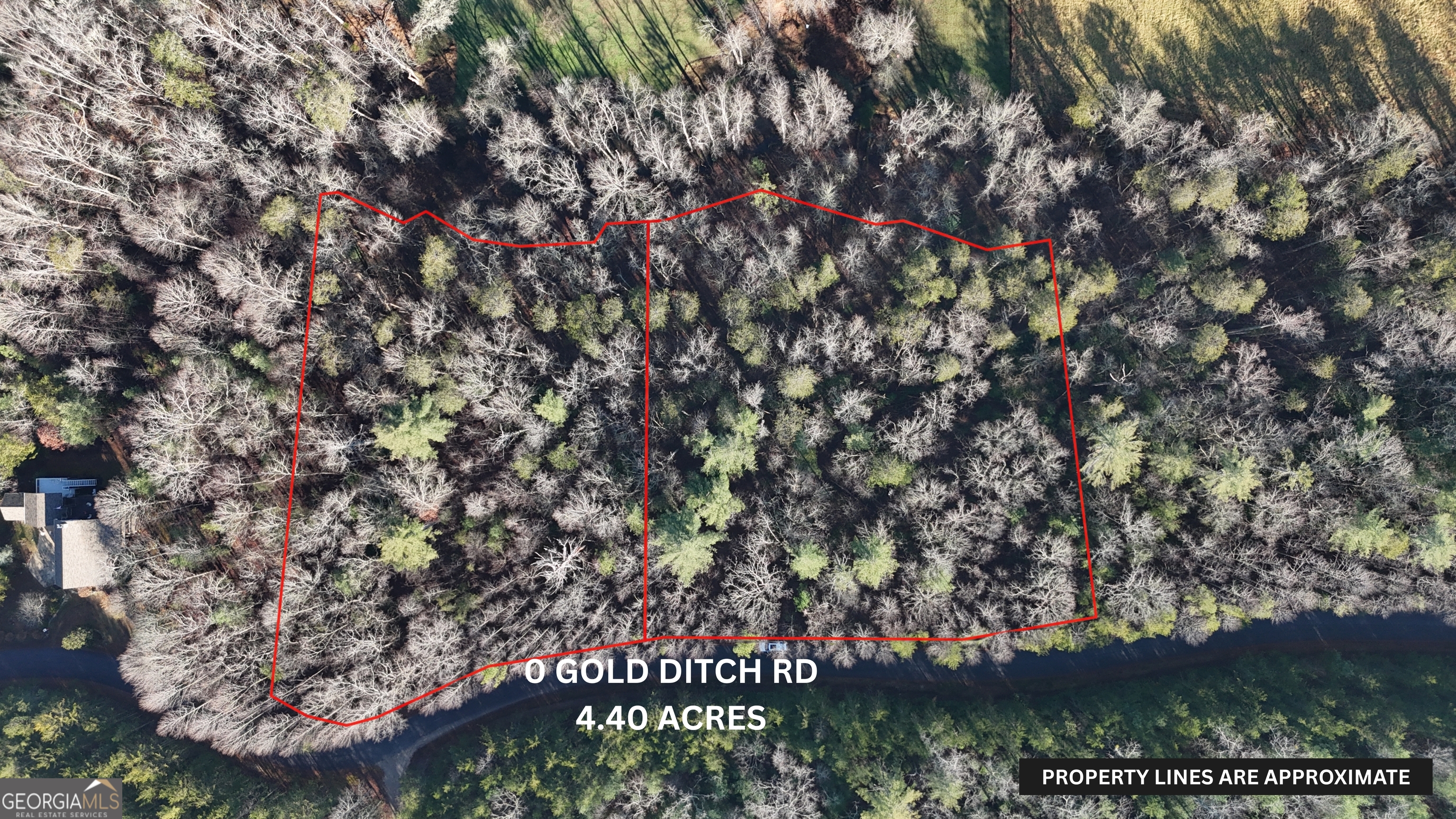 Lot 10 Gold Ditch Road Cleveland GA 30528