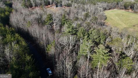 Lot 10 Gold Ditch Road Cleveland GA 30528