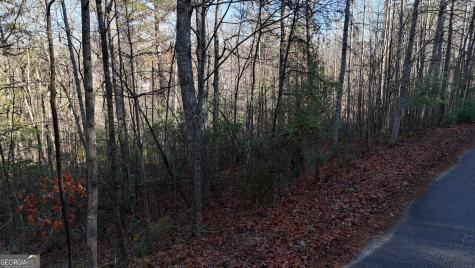 Lot 10 Gold Ditch Road Cleveland GA 30528