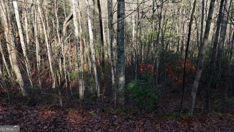 Lot 10 Gold Ditch Road Cleveland GA 30528
