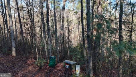 Lot 10 Gold Ditch Road Cleveland GA 30528
