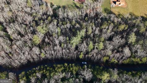 Lot 10 Gold Ditch Road Cleveland GA 30528