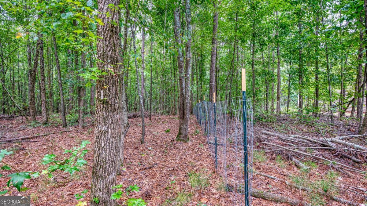 130 Levi Trail Nicholson GA 30565