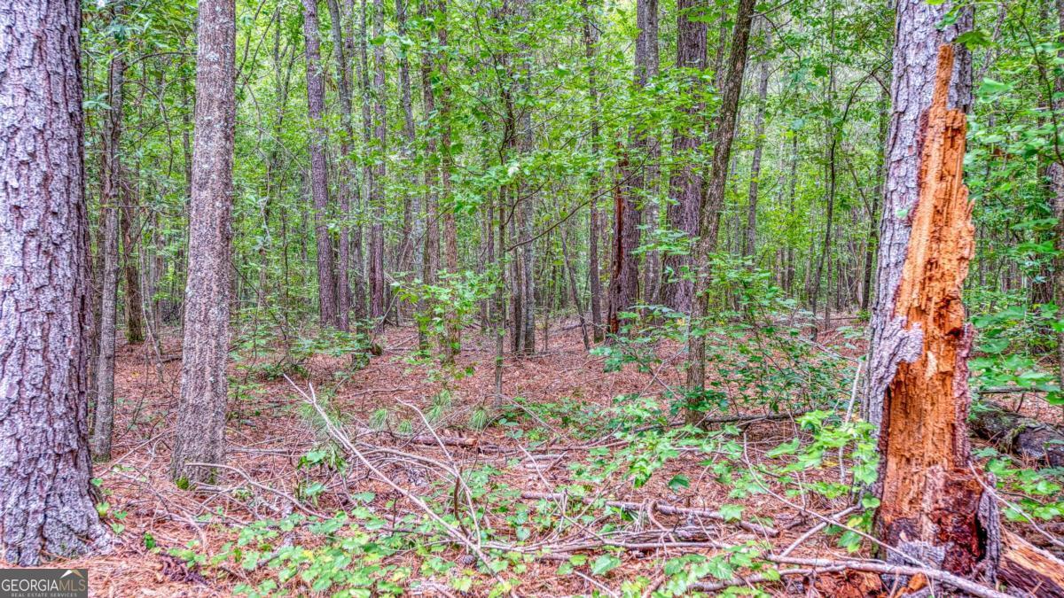 130 Levi Trail Nicholson GA 30565