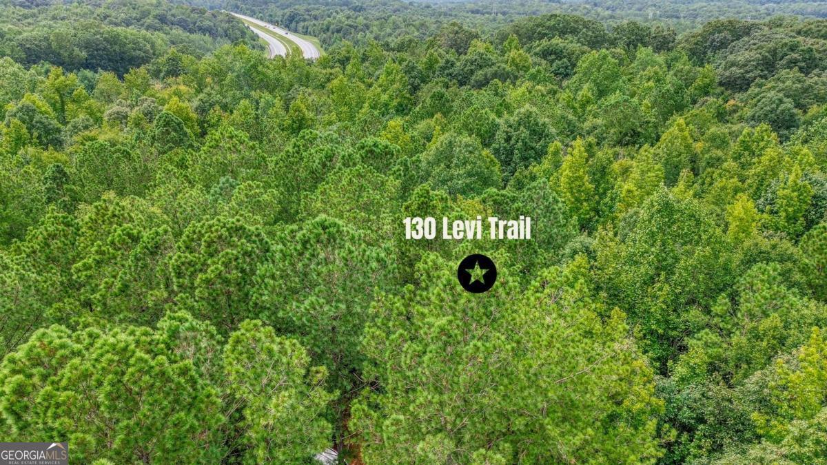 130 Levi Trail Nicholson GA 30565