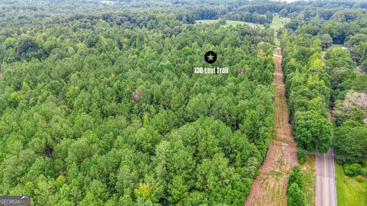 130 Levi Trail Nicholson GA 30565