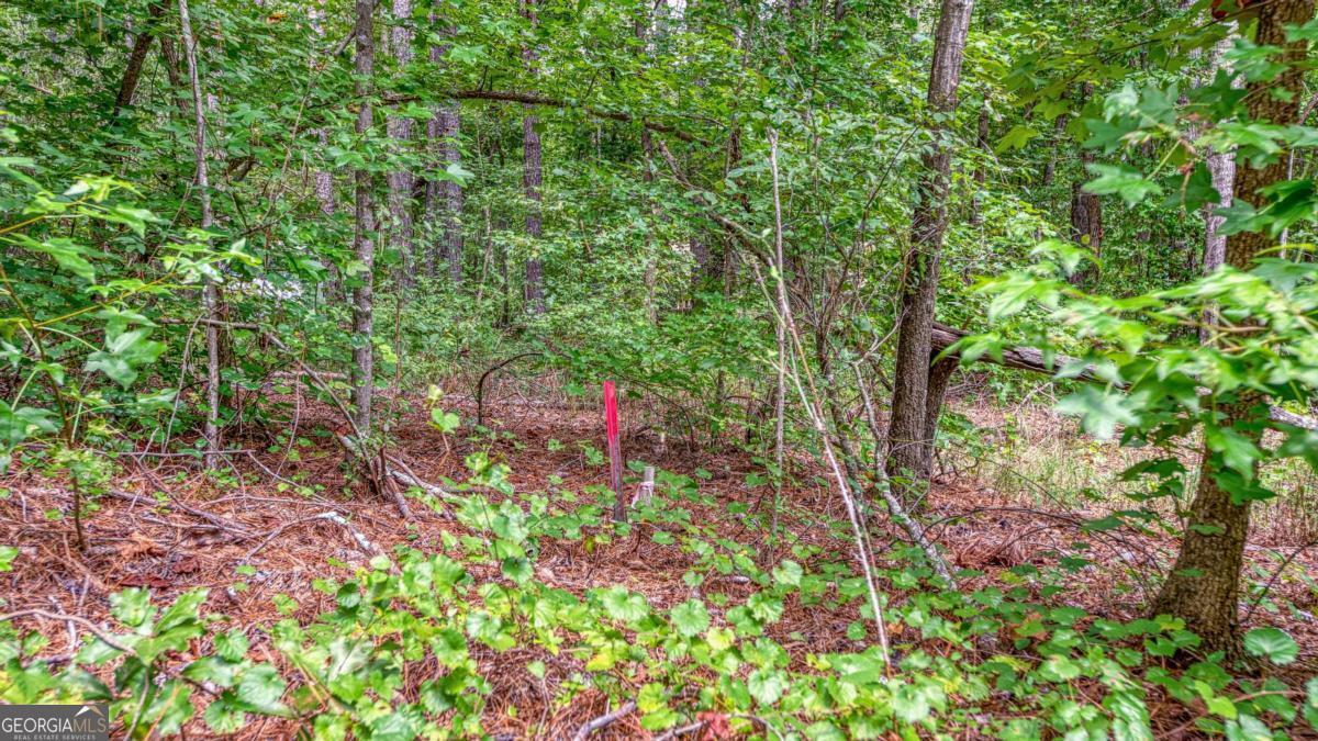 130 Levi Trail Nicholson GA 30565