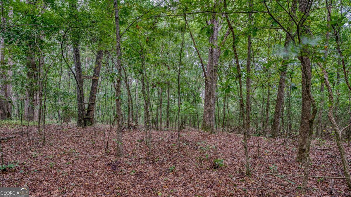 130 Levi Trail Nicholson GA 30565