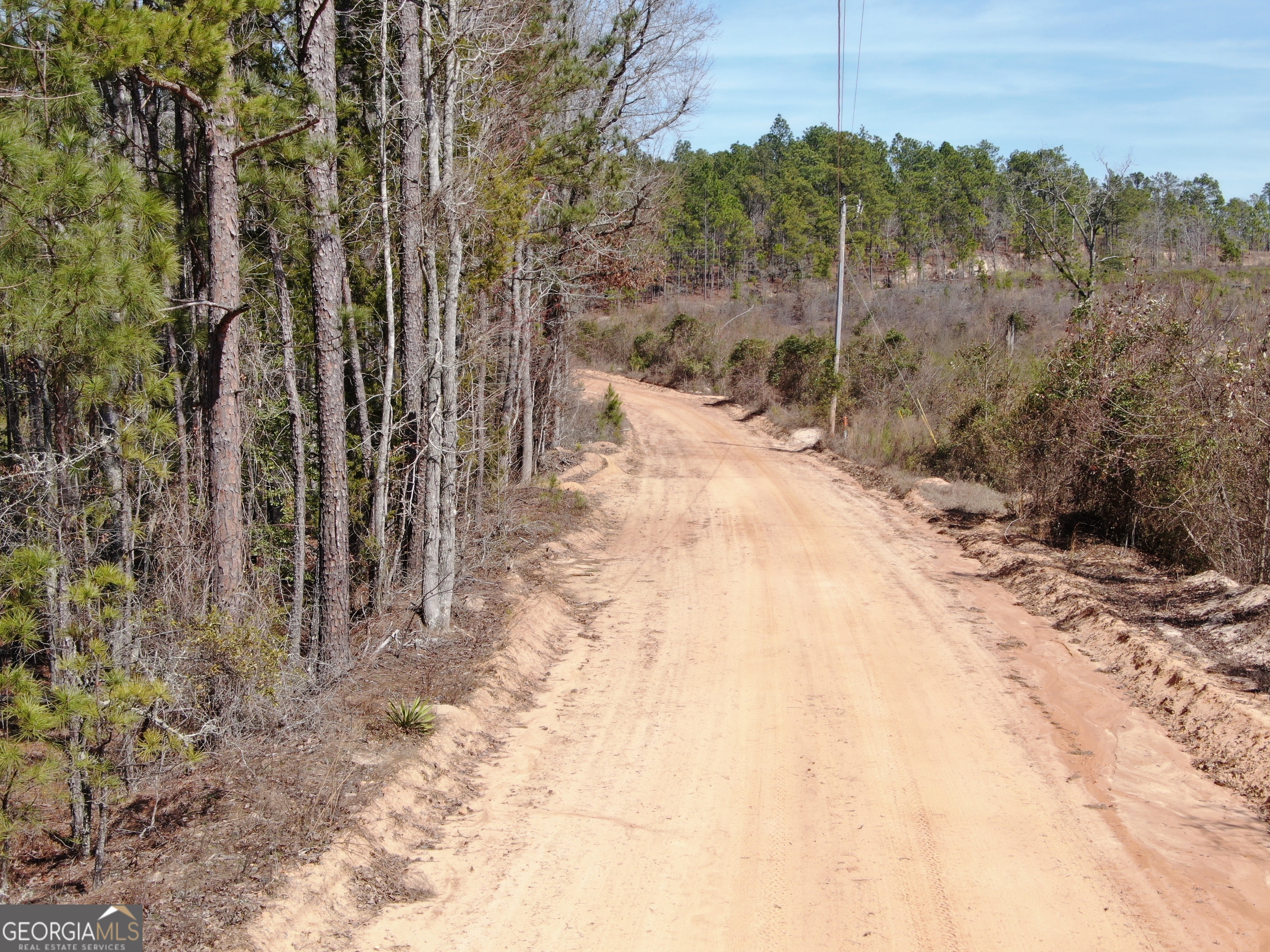0 Suddeth Road Butler GA 31006