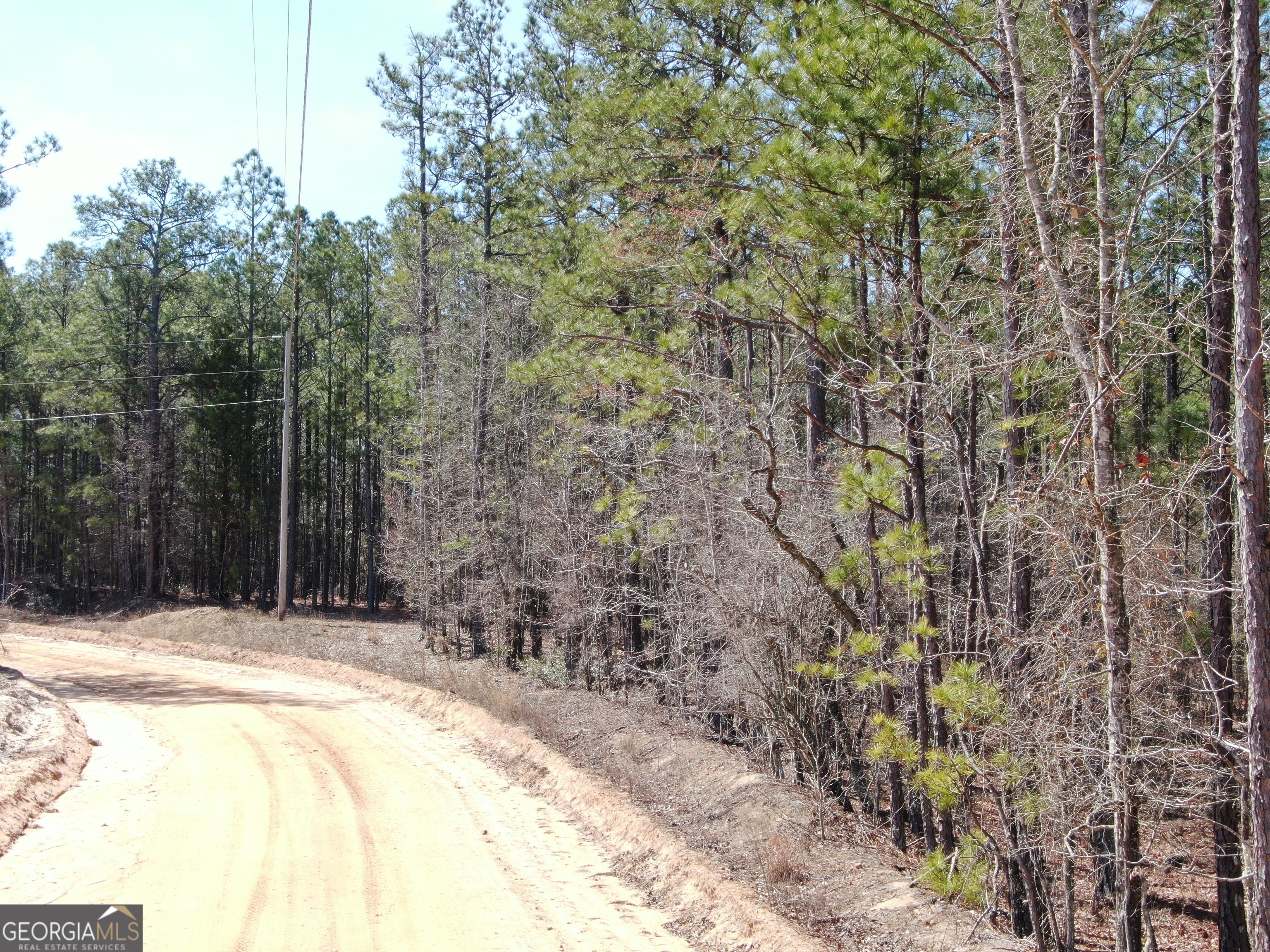 0 Suddeth Road Butler GA 31006