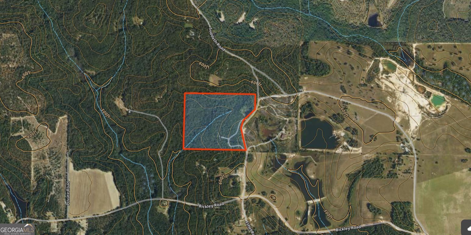 0 Suddeth Road Butler GA 31006