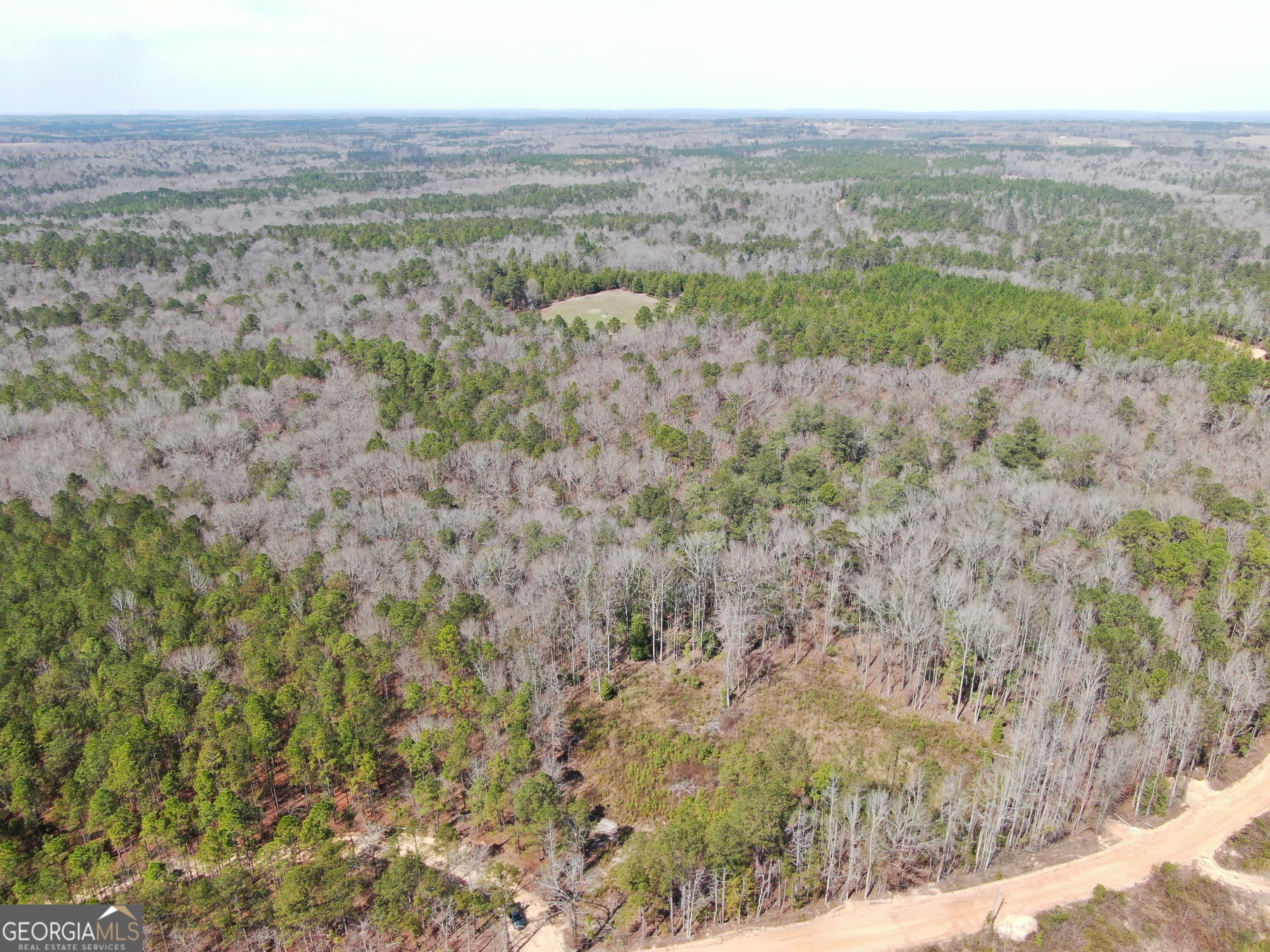 0 Suddeth Road Butler GA 31006
