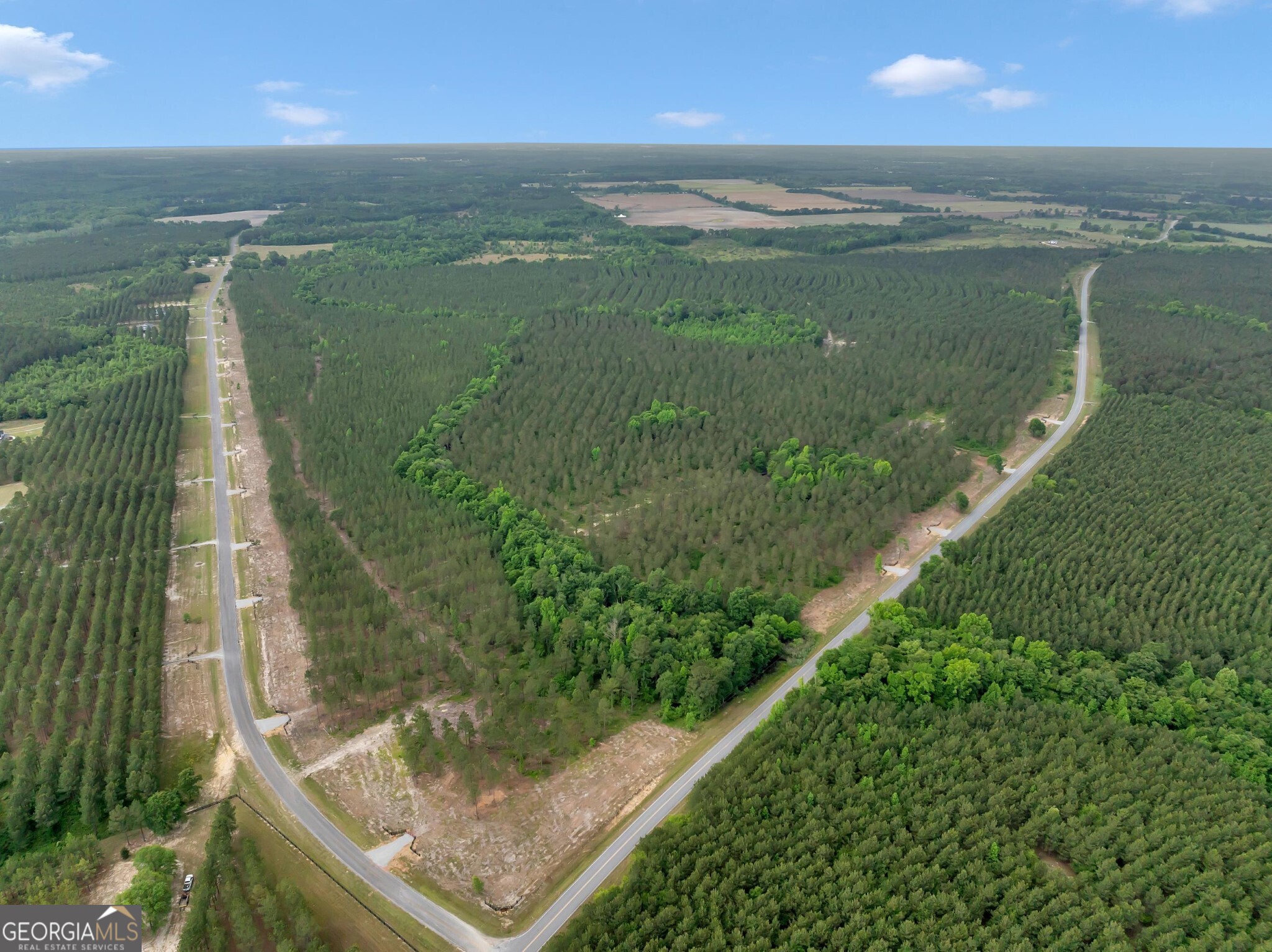 0 Dewey Thomas Road Dexter GA 31019