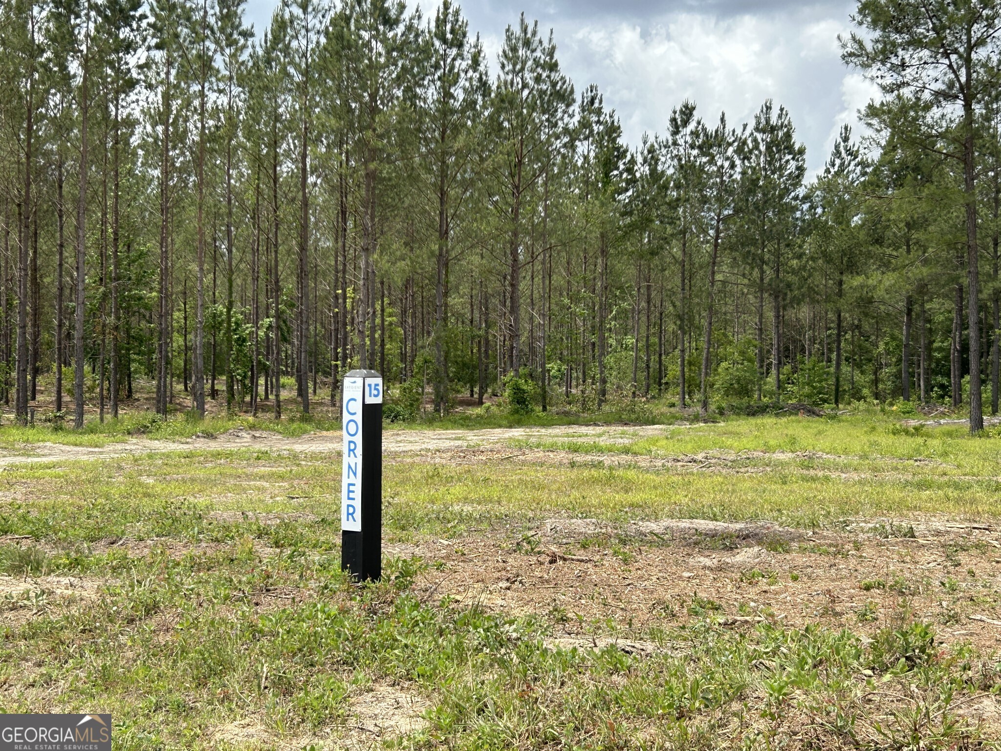 0 Dewey Thomas Road Dexter GA 31019