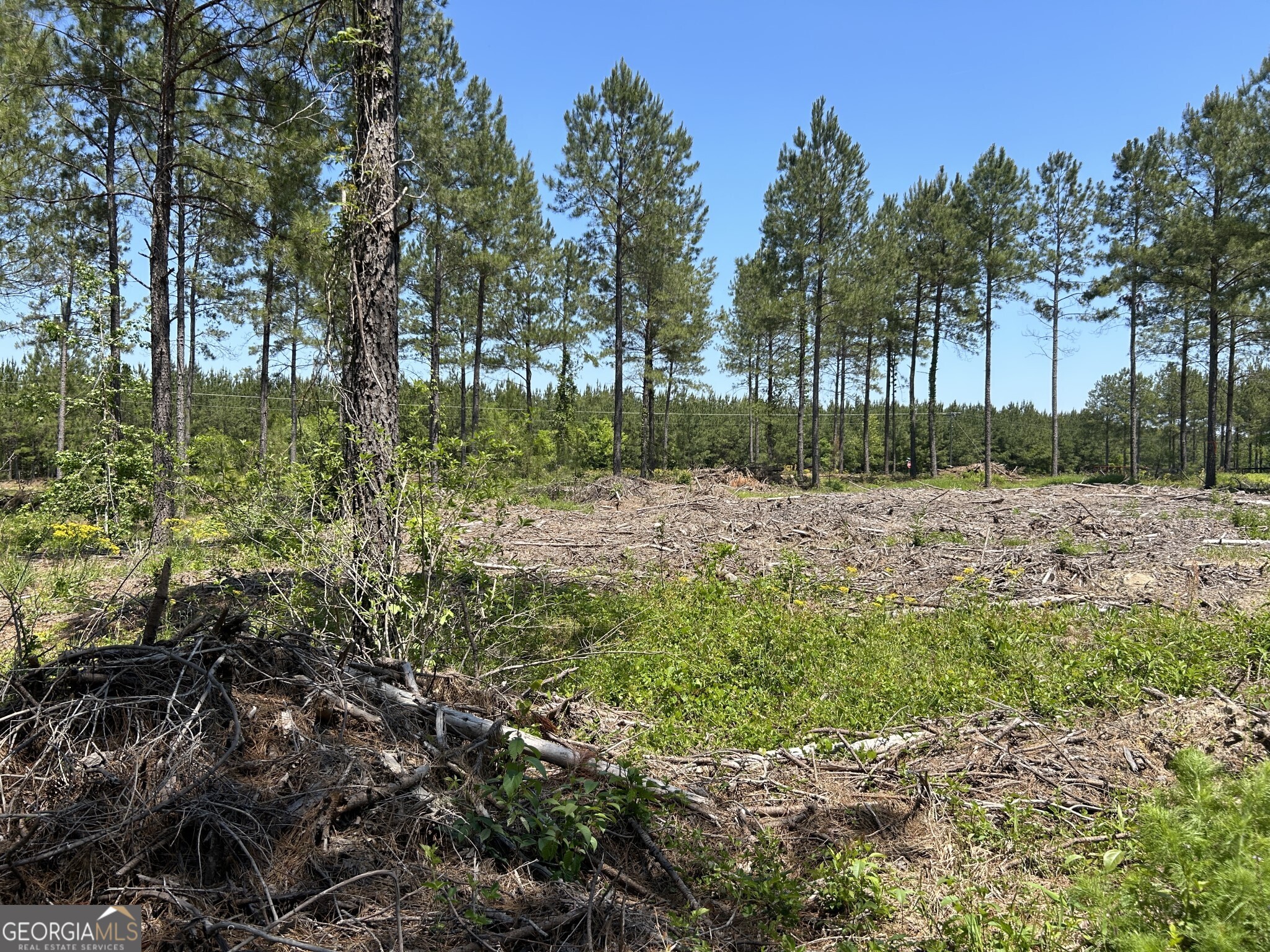 0 Dewey Thomas Road Dexter GA 31019