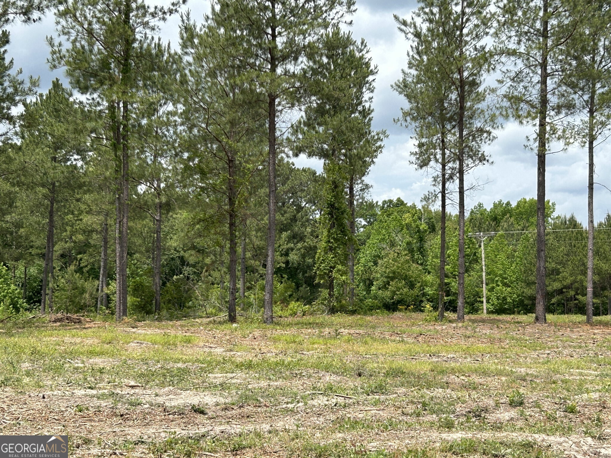 0 Dewey Thomas Road Dexter GA 31019