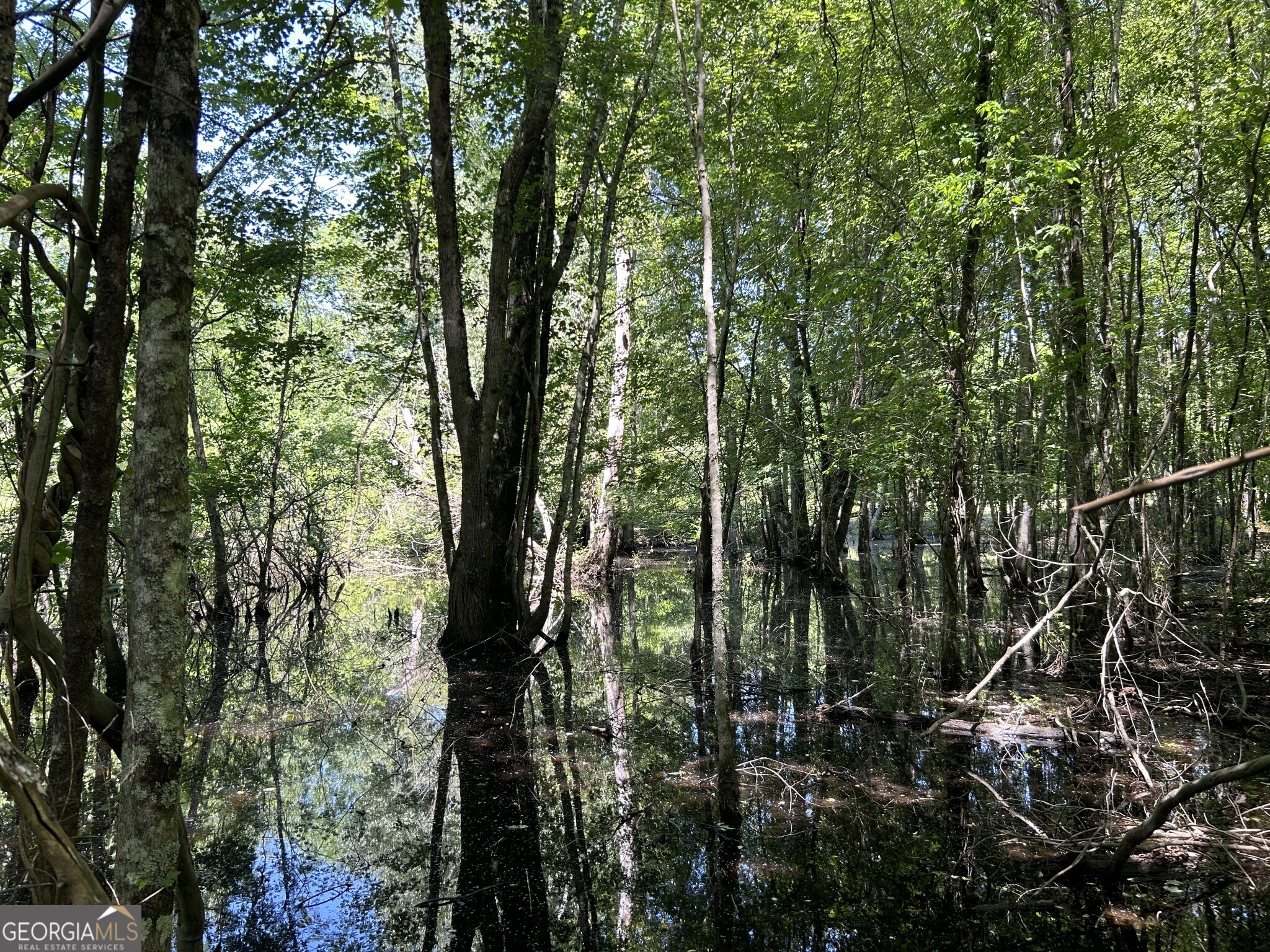 0 Dewey Thomas Road Dexter GA 31019
