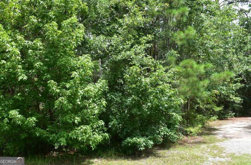 Lot 34 Azalea Drive Midway GA 31320