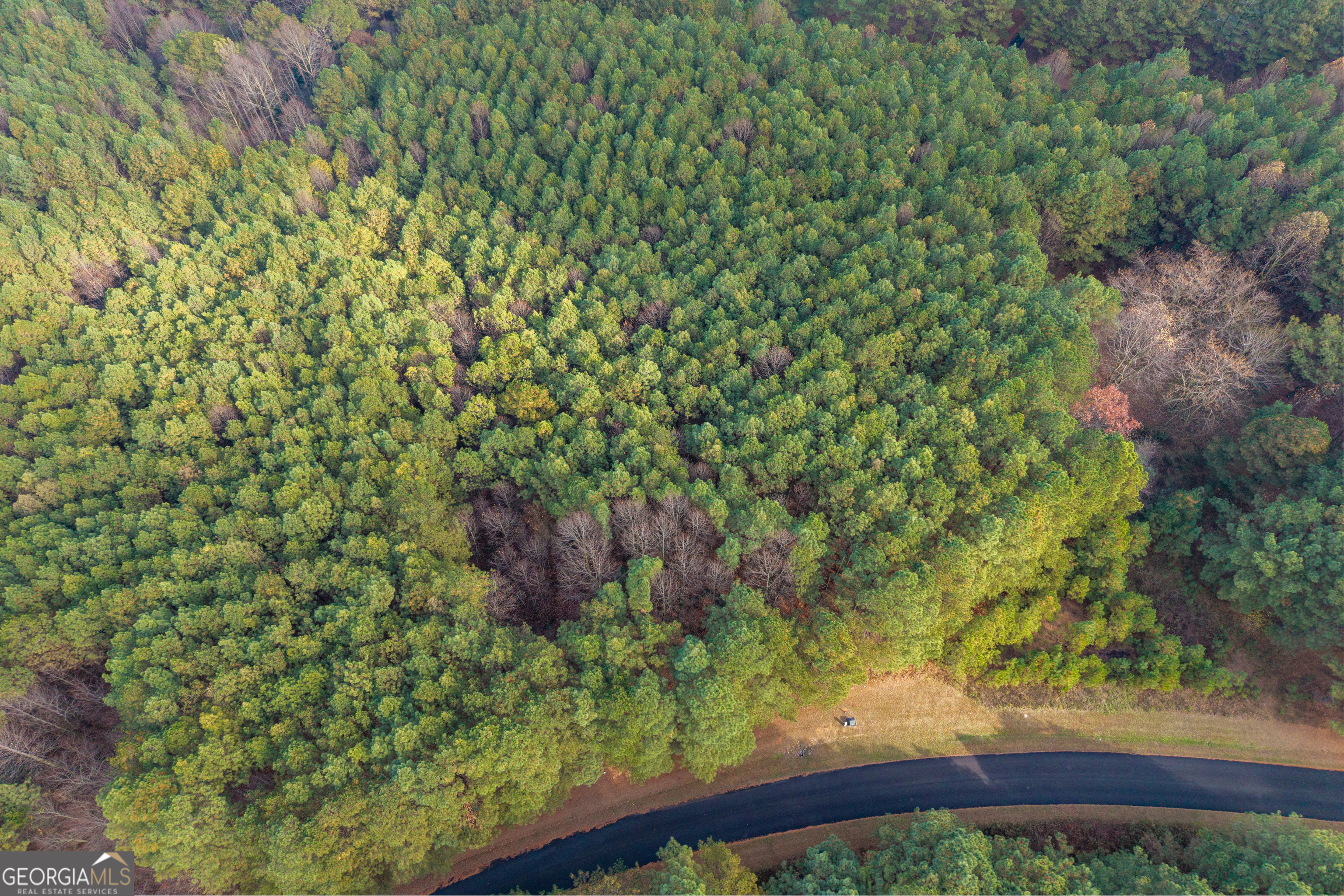 0 Foxpaw Leaf Lane Ellijay GA 30536