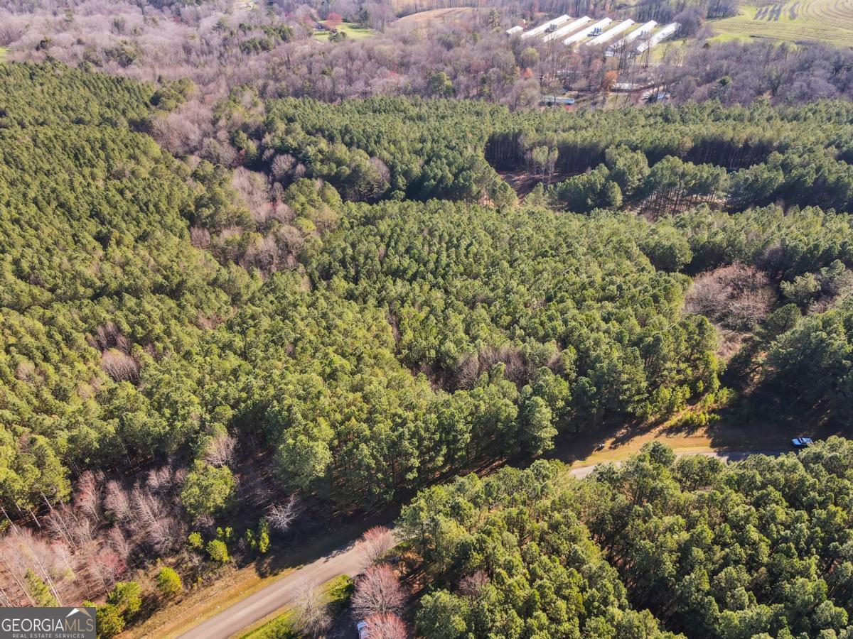 0 Foxpaw Leaf Lane Ellijay GA 30536