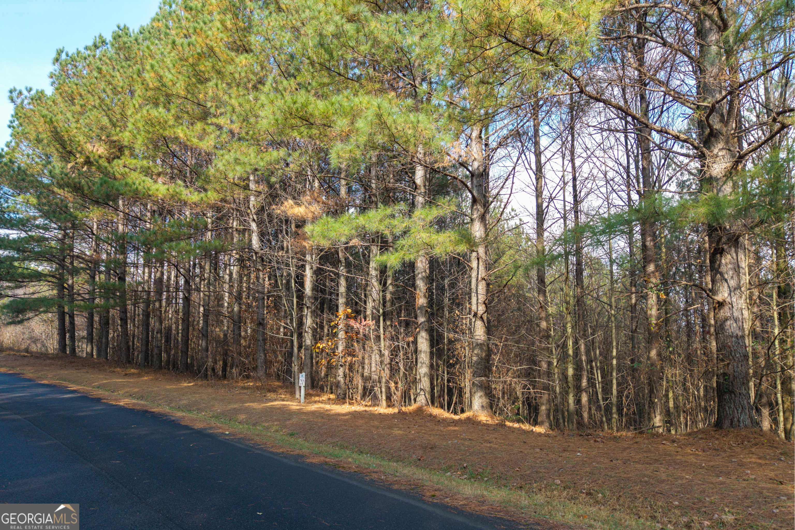 0 Foxpaw Leaf Lane Ellijay GA 30536