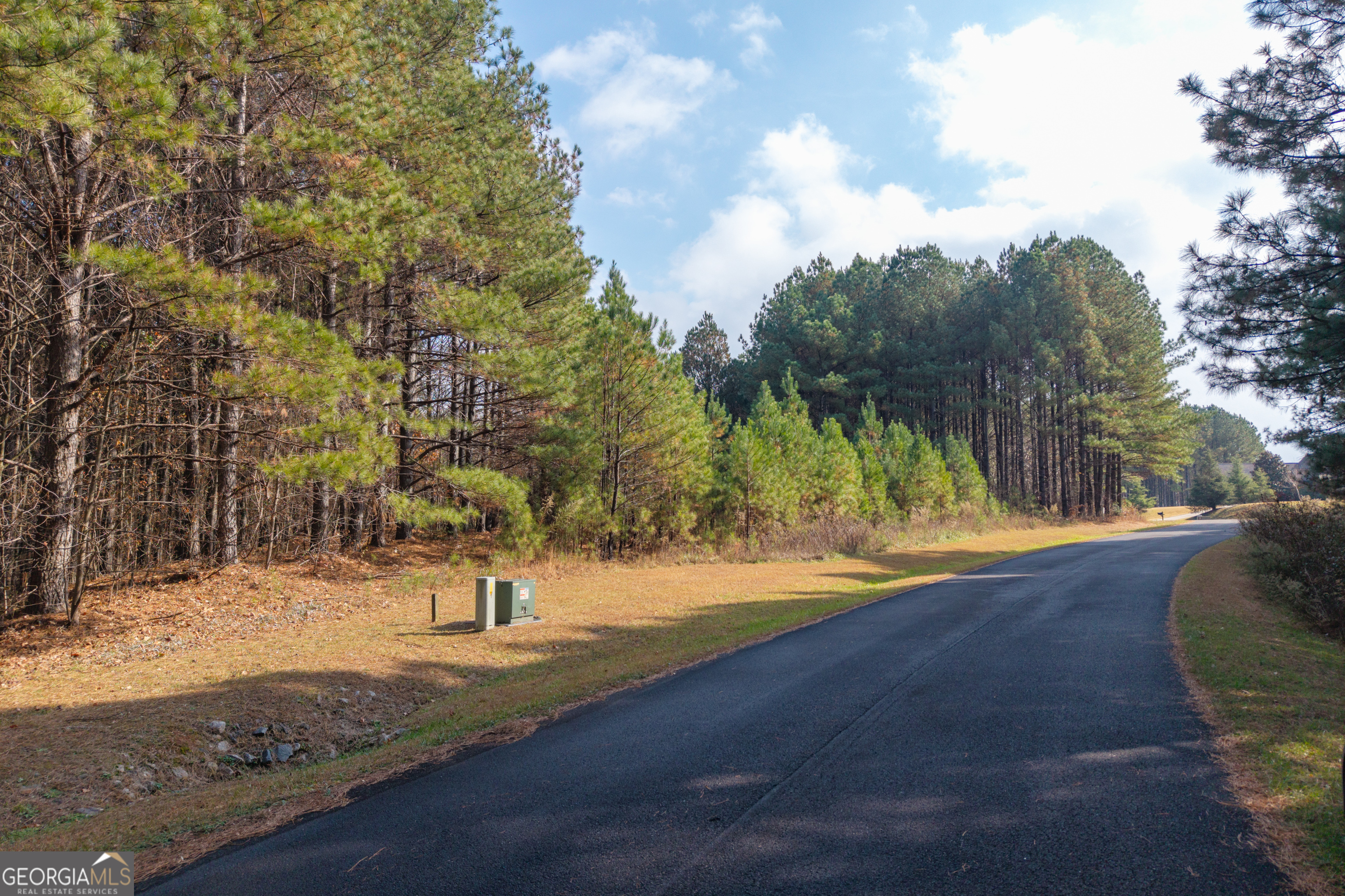 0 Foxpaw Leaf Lane Ellijay GA 30536