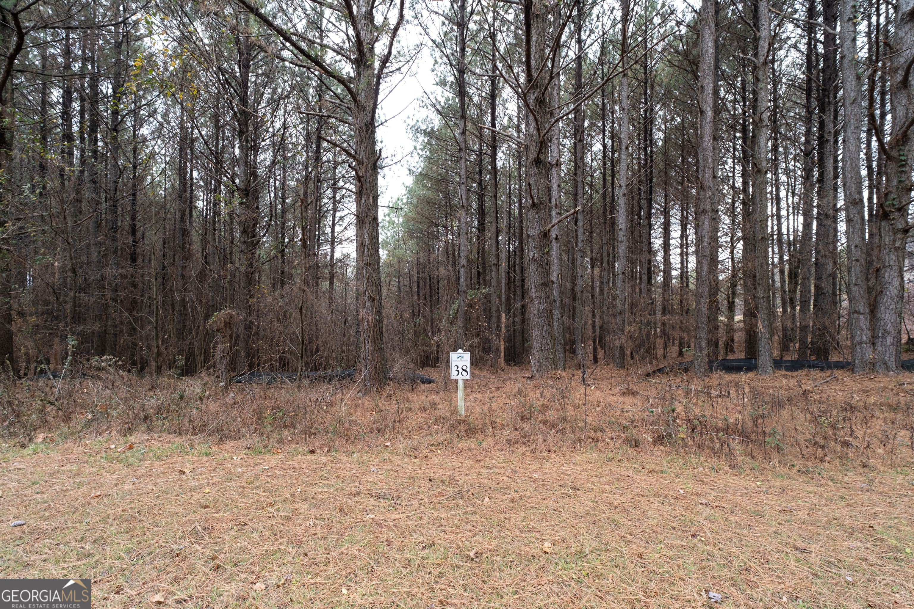 0 Foxpaw Leaf Lane Ellijay GA 30536