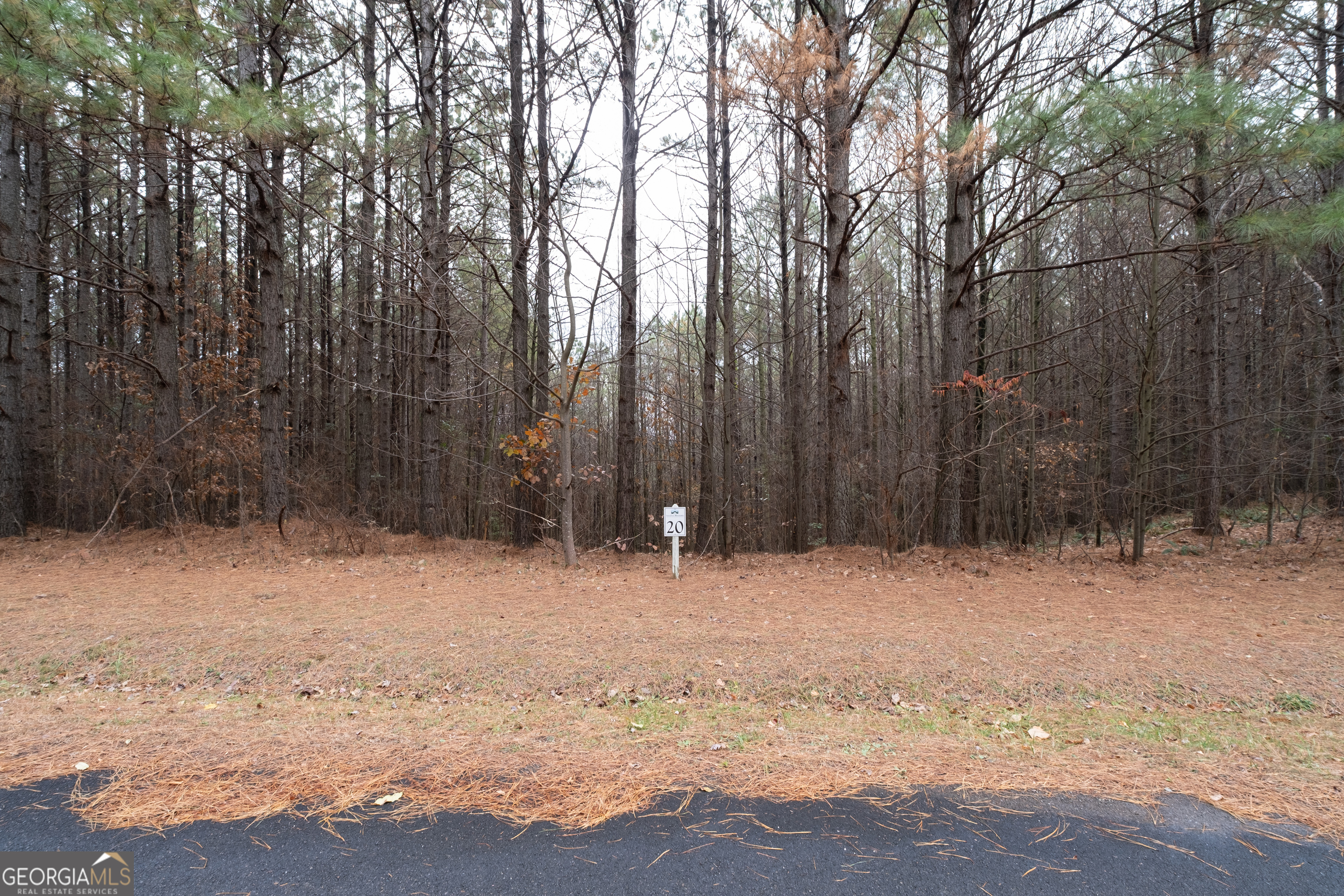 0 Foxpaw Leaf Lane Ellijay GA 30536