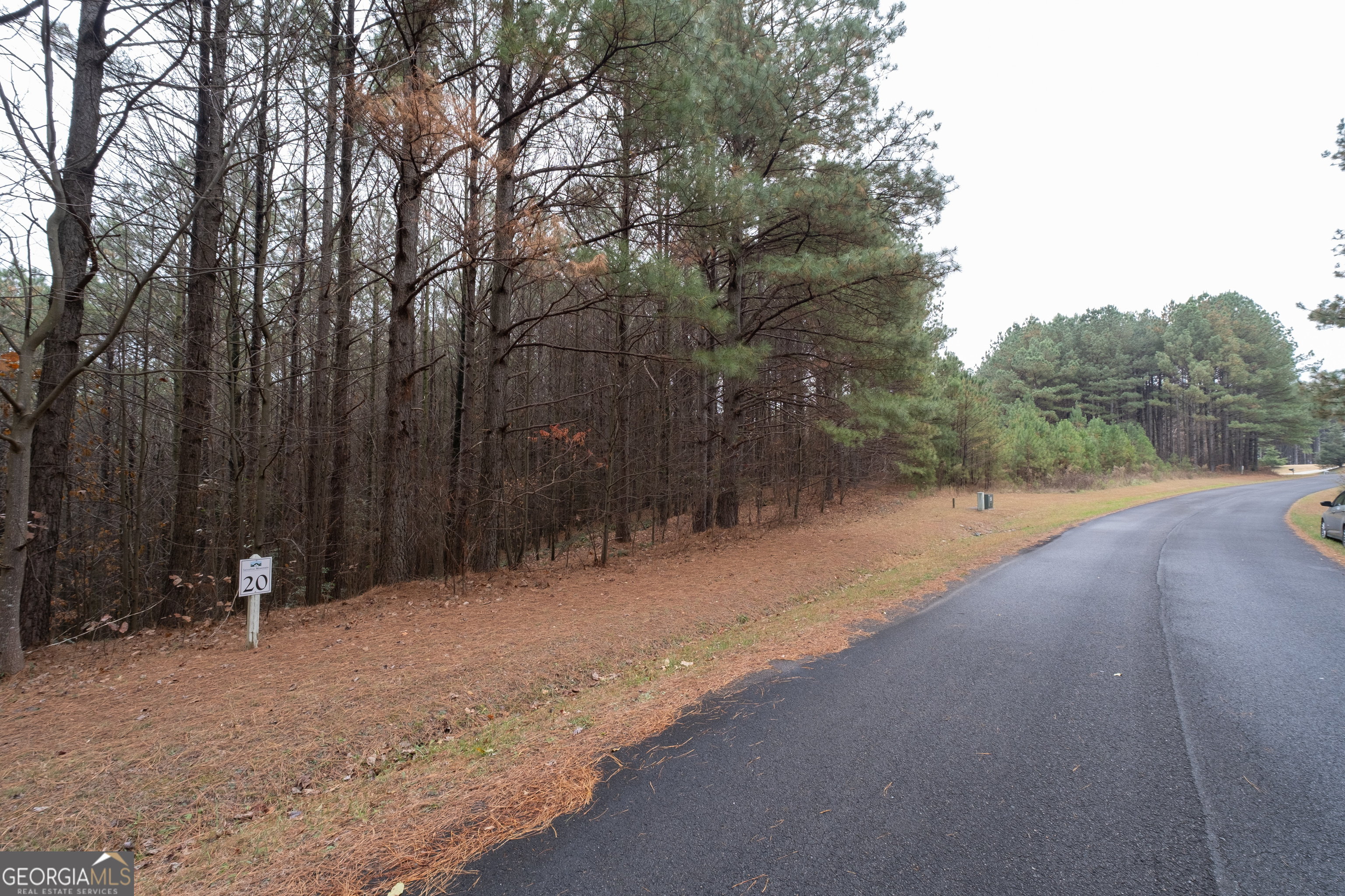 0 Foxpaw Leaf Lane Ellijay GA 30536
