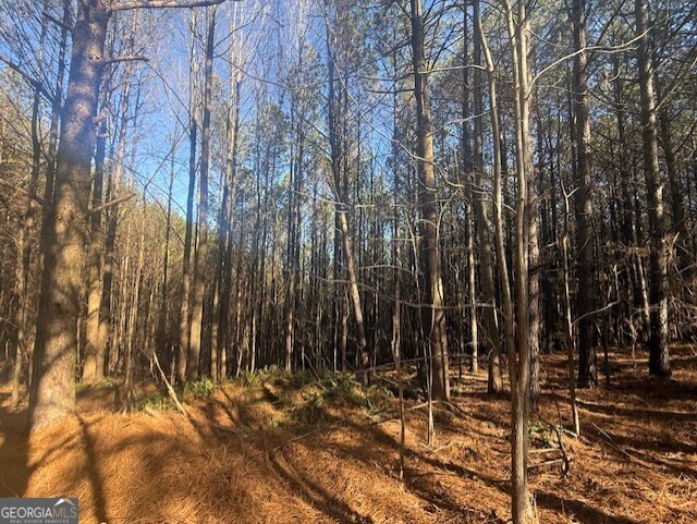 0 Foxpaw Leaf Lane Ellijay GA 30536