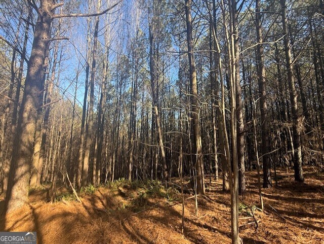 0 Foxpaw Leaf Lane Ellijay GA 30536