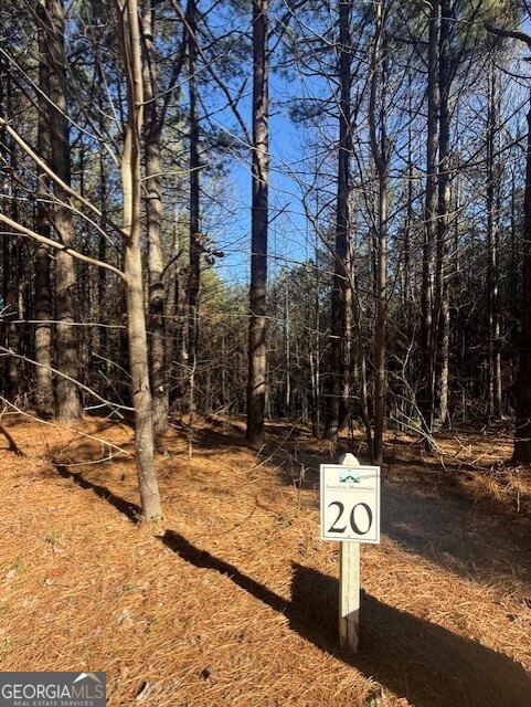 0 Foxpaw Leaf Lane Ellijay GA 30536