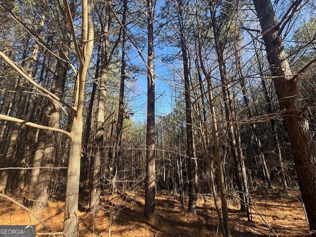 0 Foxpaw Leaf Lane Ellijay GA 30536