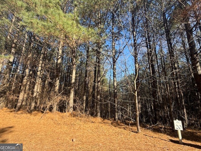 0 Foxpaw Leaf Lane Ellijay GA 30536