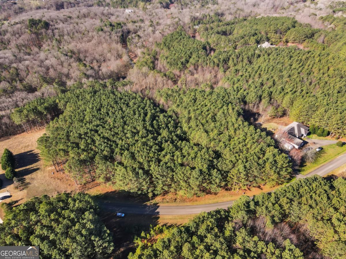 0 Foxpaw Leaf Lane Ellijay GA 30536