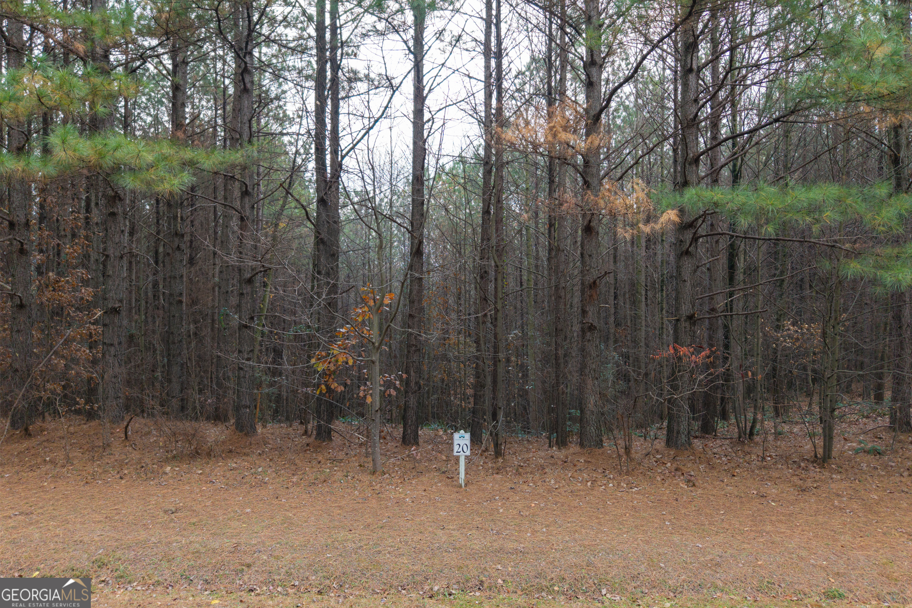 0 Foxpaw Leaf Lane Ellijay GA 30536