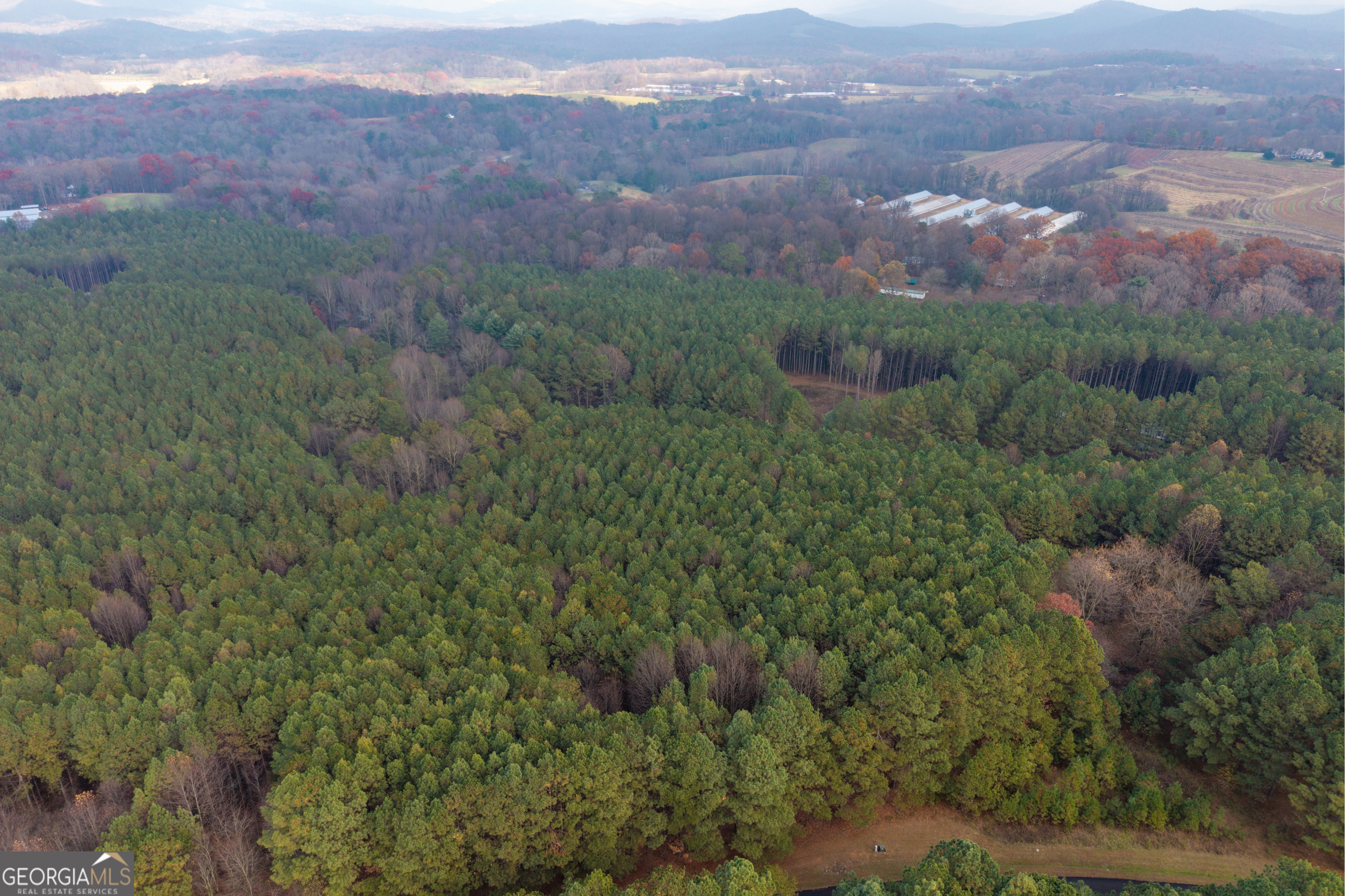 0 Foxpaw Leaf Lane Ellijay GA 30536