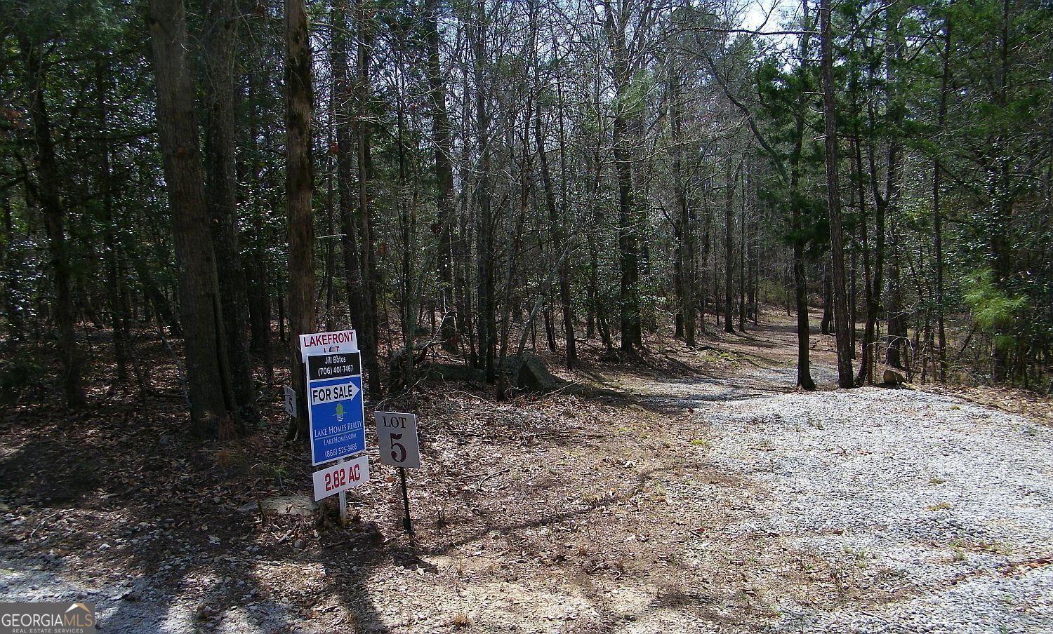 Lot 5 Blackberry Bend Elberton GA 30635