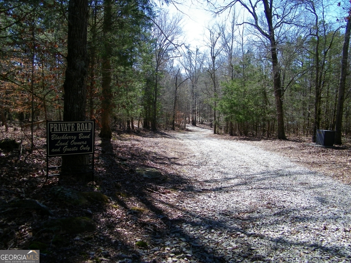 Lot 5 Blackberry Bend Elberton GA 30635