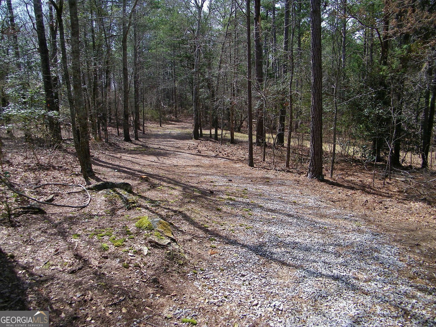 Lot 5 Blackberry Bend Elberton GA 30635