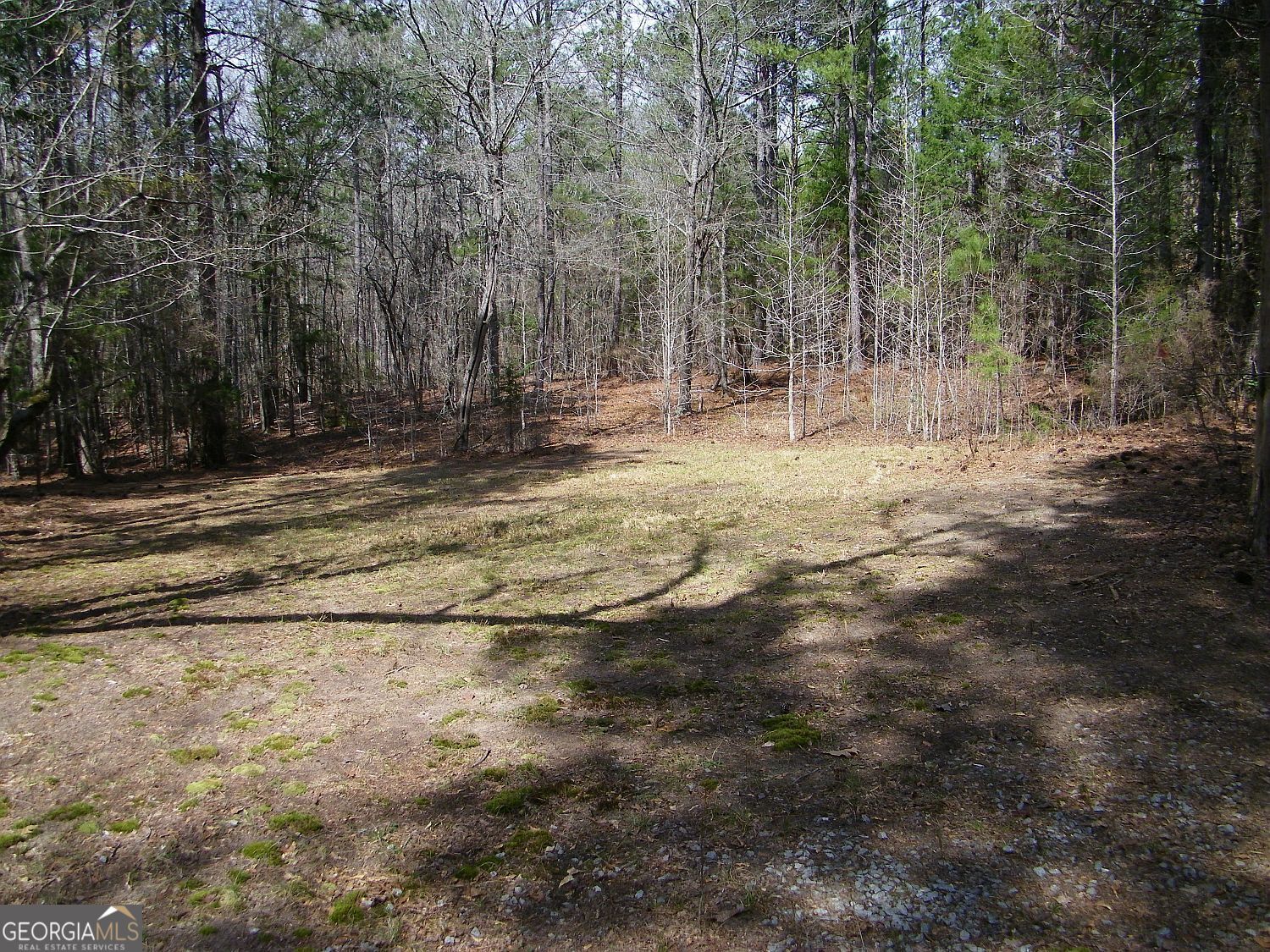 Lot 5 Blackberry Bend Elberton GA 30635