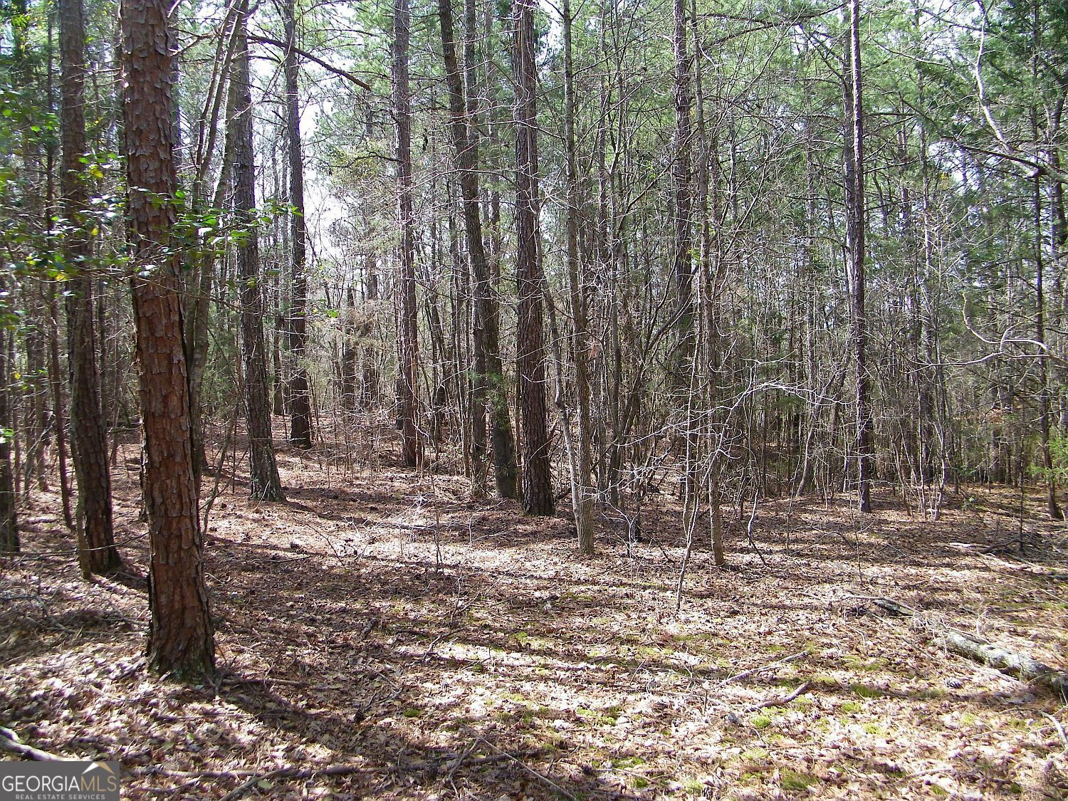 Lot 5 Blackberry Bend Elberton GA 30635