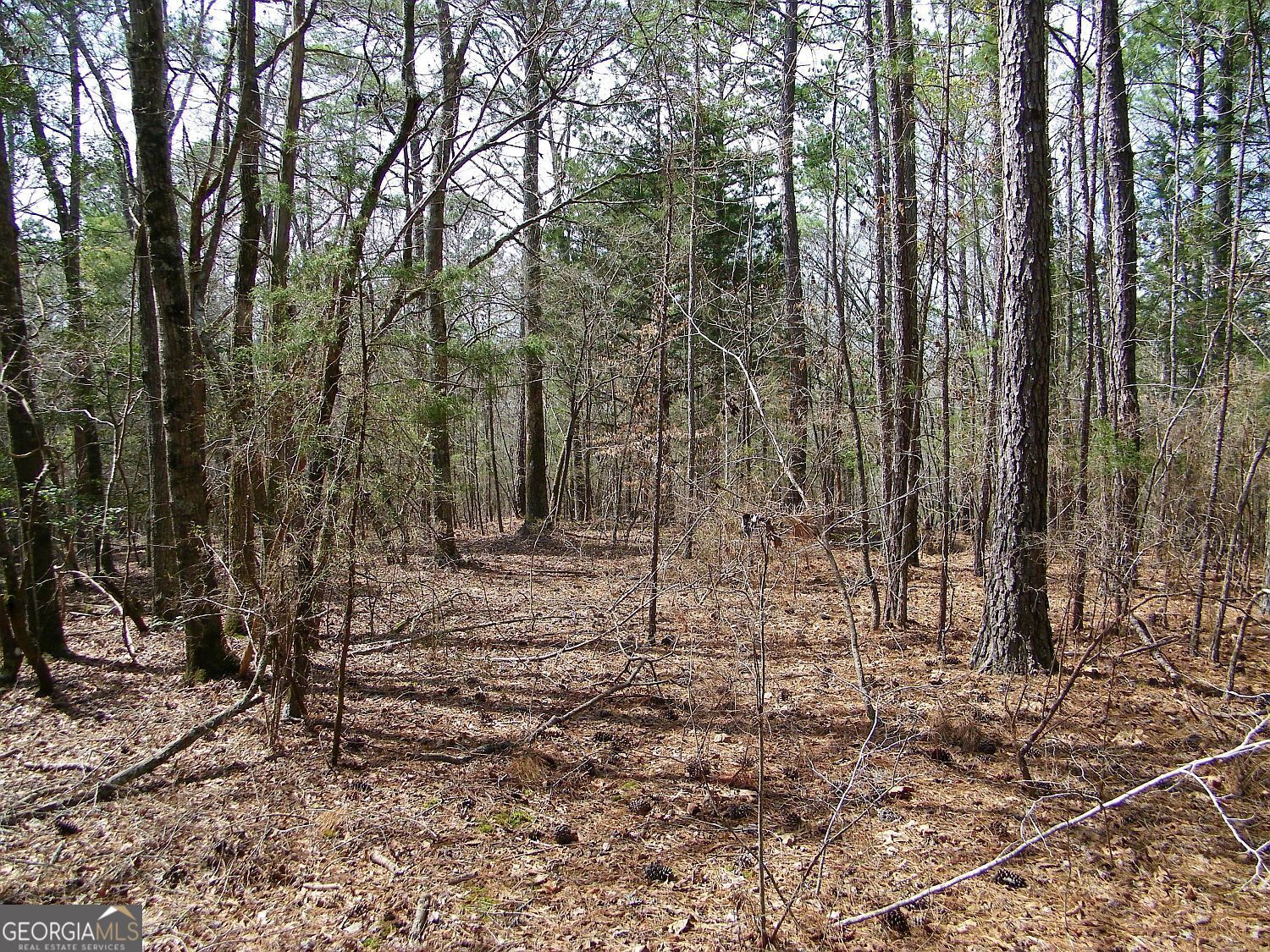 Lot 5 Blackberry Bend Elberton GA 30635