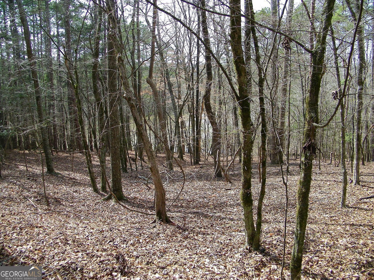 Lot 5 Blackberry Bend Elberton GA 30635
