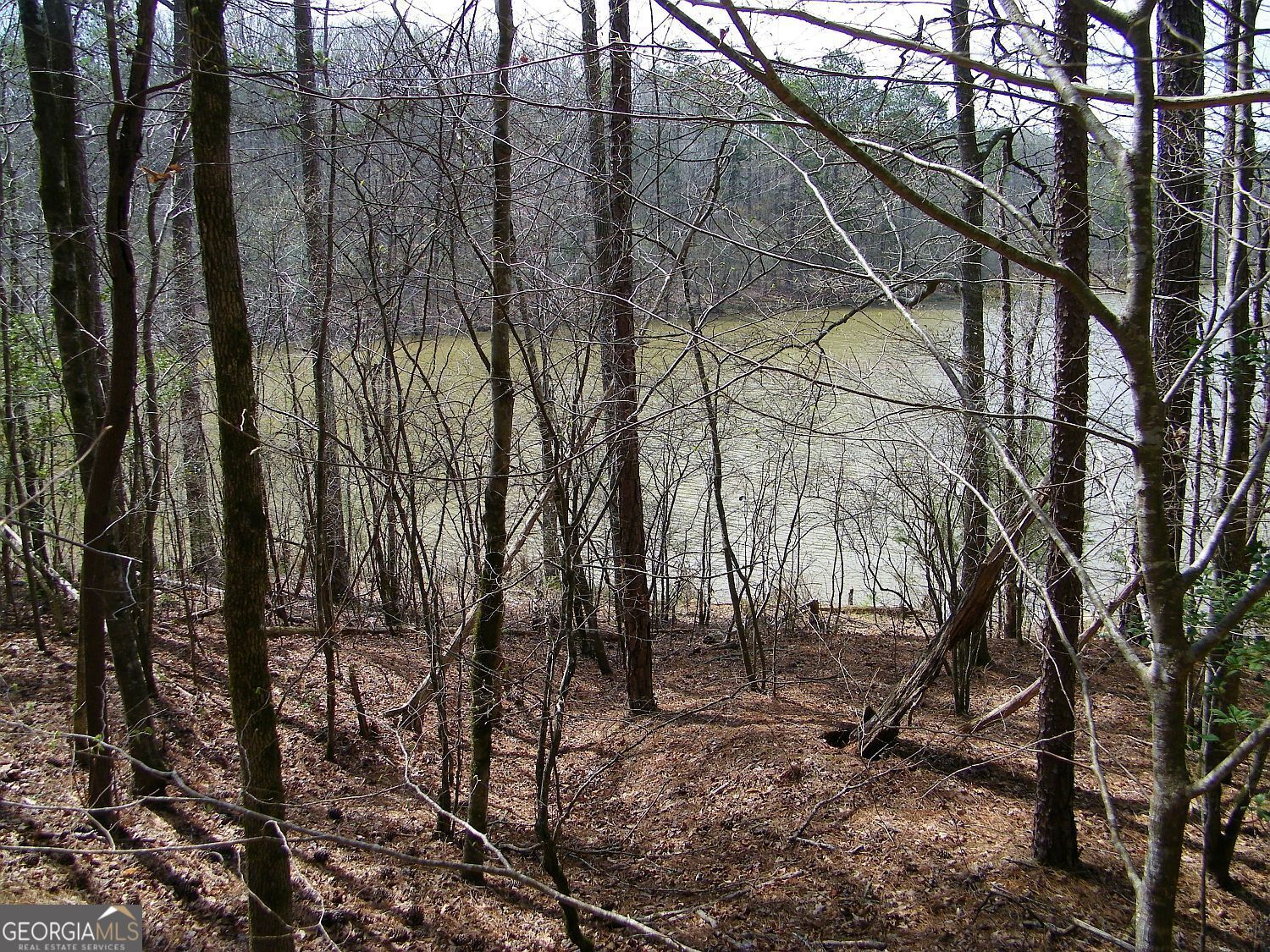 Lot 5 Blackberry Bend Elberton GA 30635