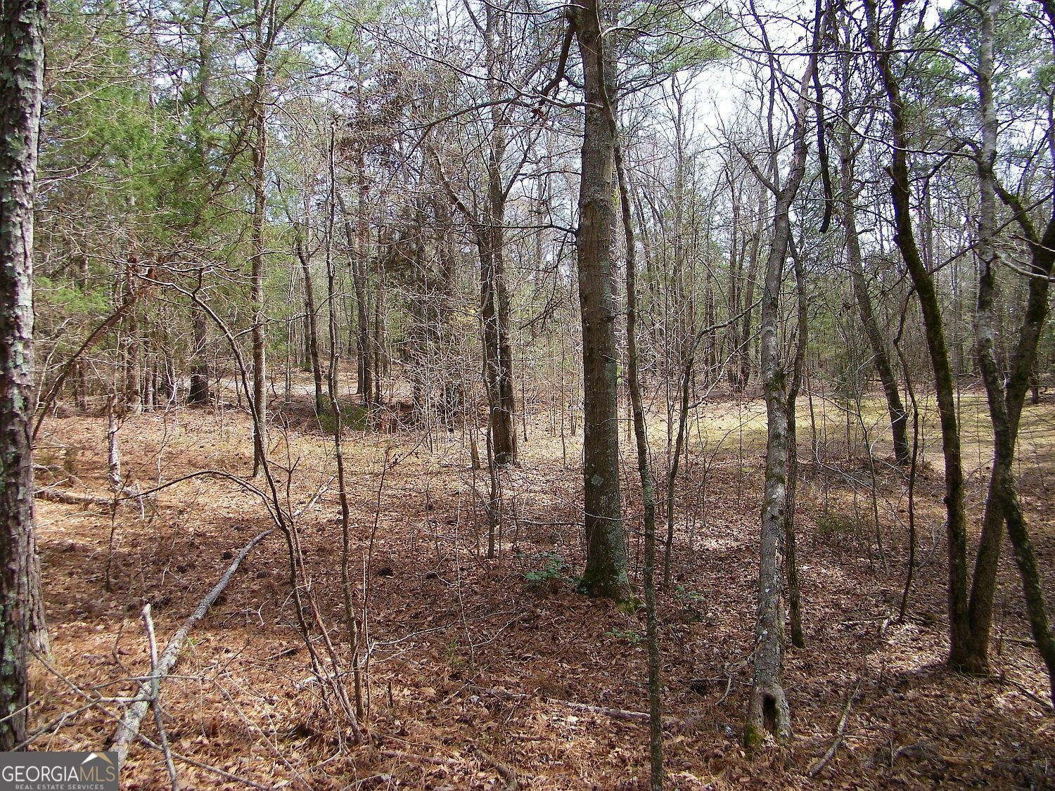 Lot 5 Blackberry Bend Elberton GA 30635