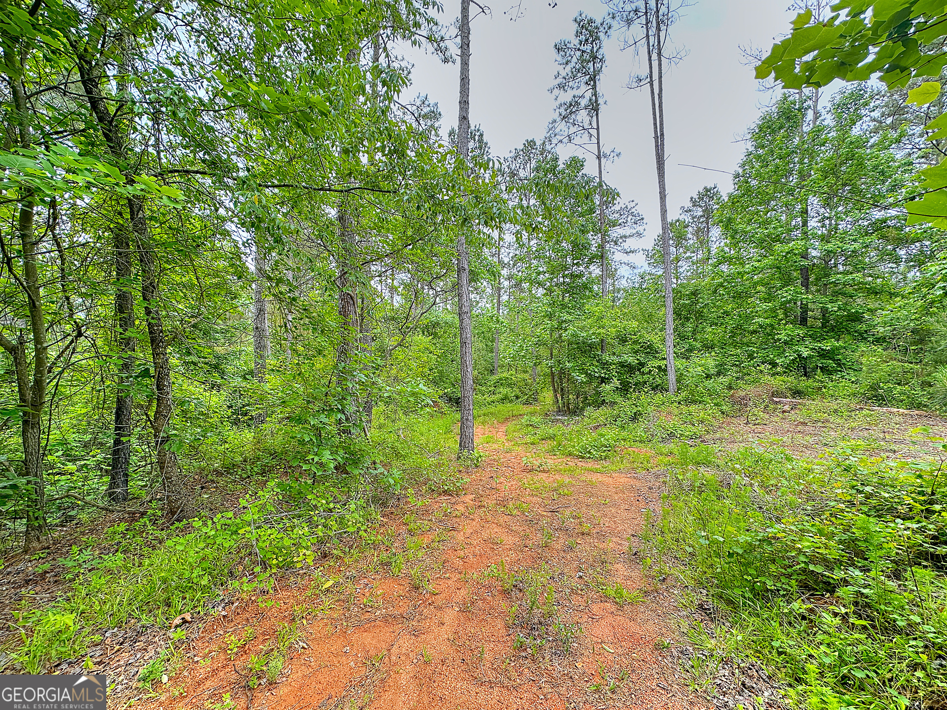 0 Rollin Mill Franklin GA 30217