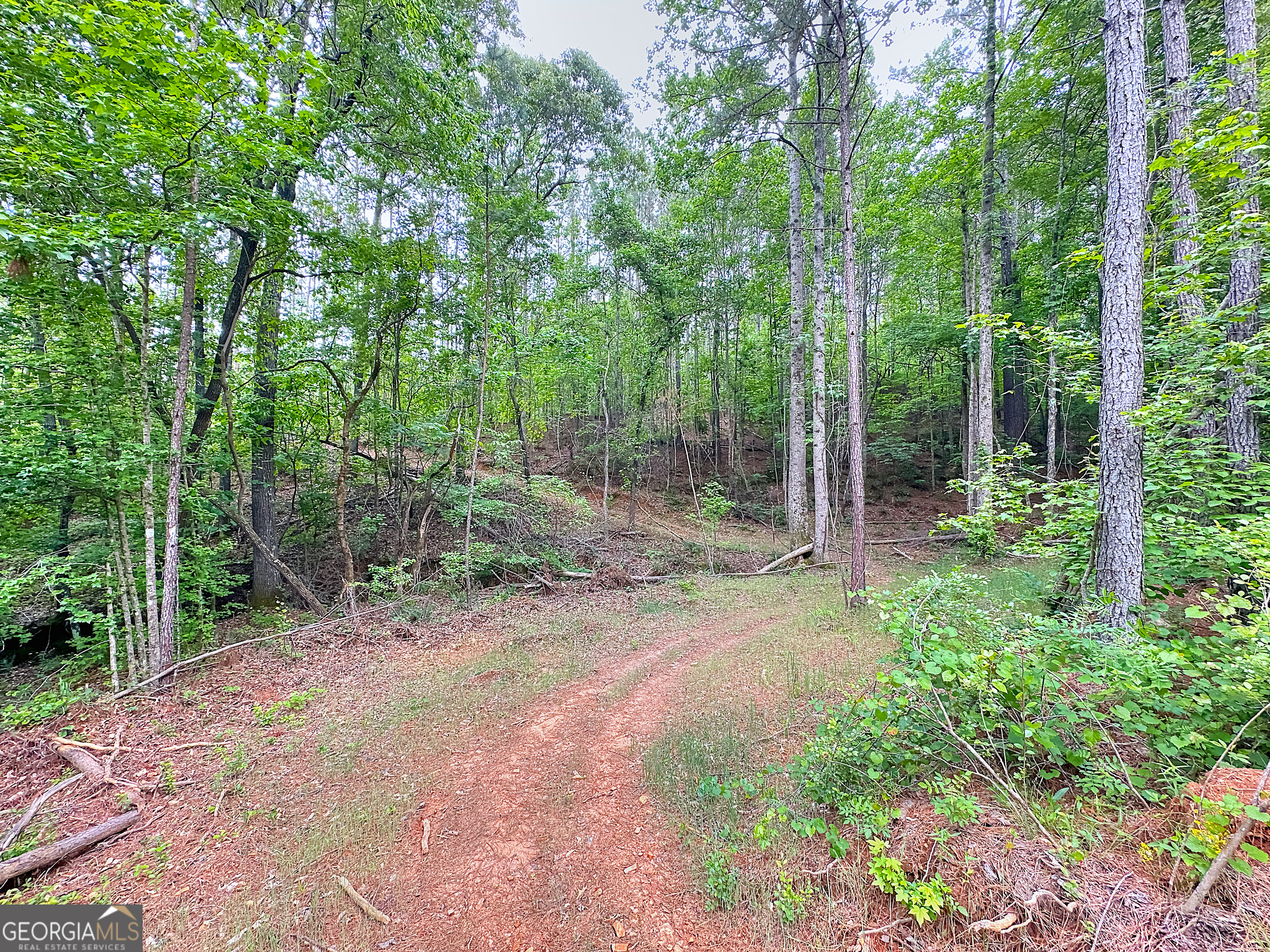 0 Rollin Mill Franklin GA 30217